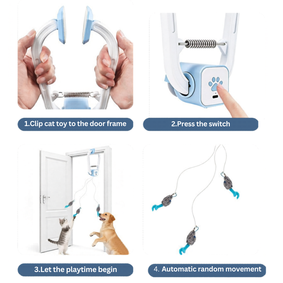 The Pounce Buddy™ — Keep Your Cat Happy, Stimulated & Out of Trouble. (Even When You're Not Home)