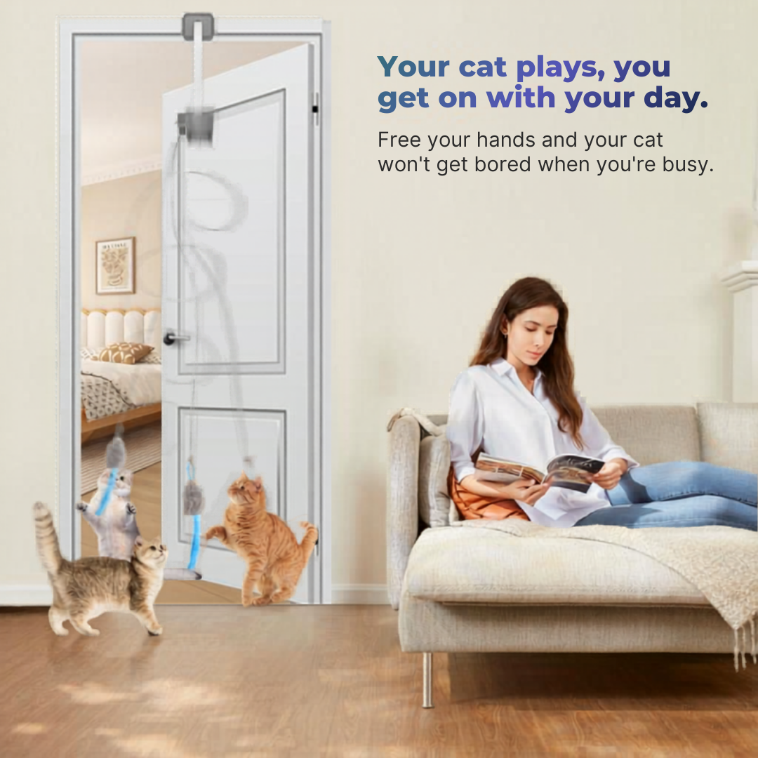 The Pounce Buddy™ — Keep Your Cat Happy, Stimulated & Out of Trouble.    (Even When You're Not Home)