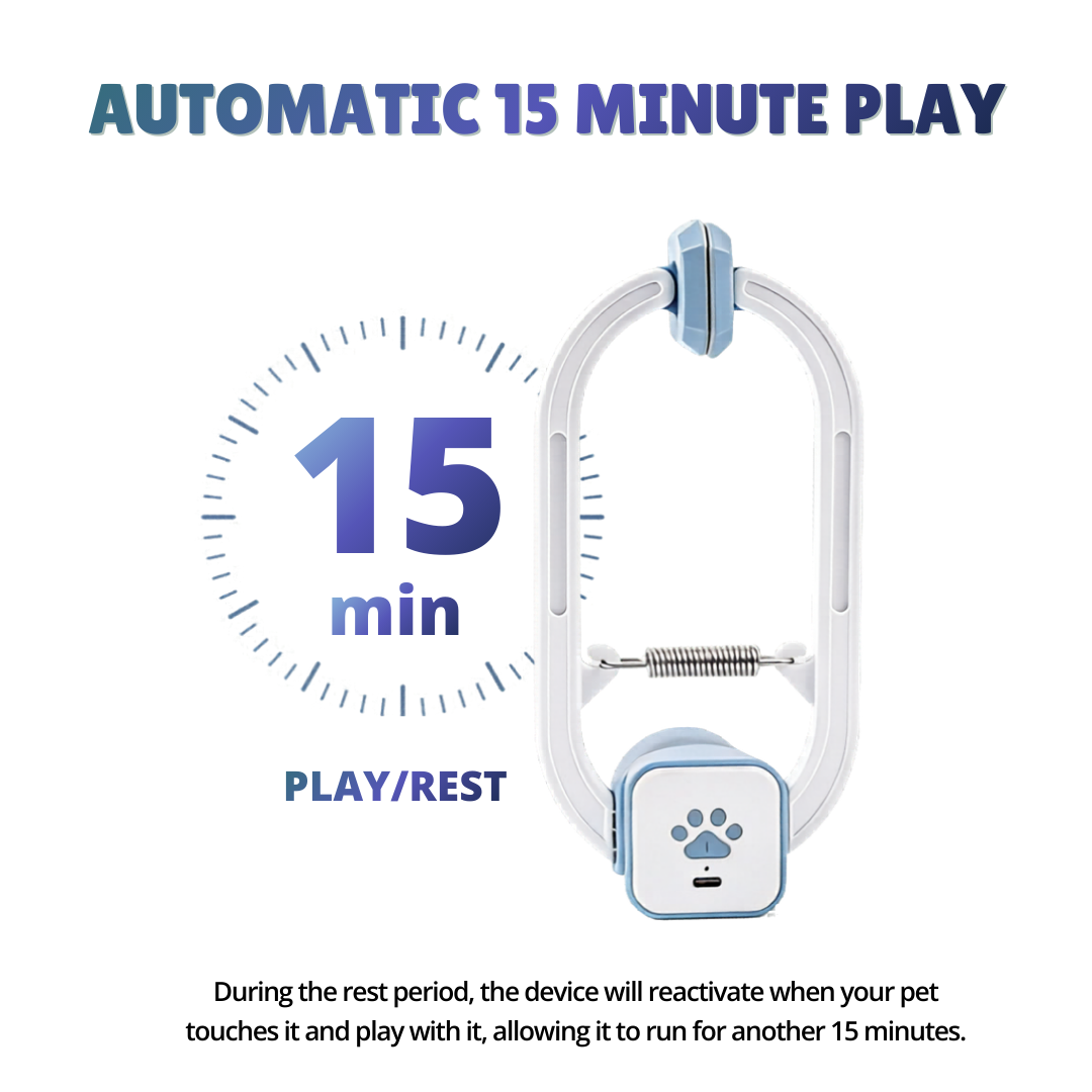 The Pounce Buddy™ — Keep Your Cat Happy, Stimulated & Out of Trouble.    (Even When You're Not Home)