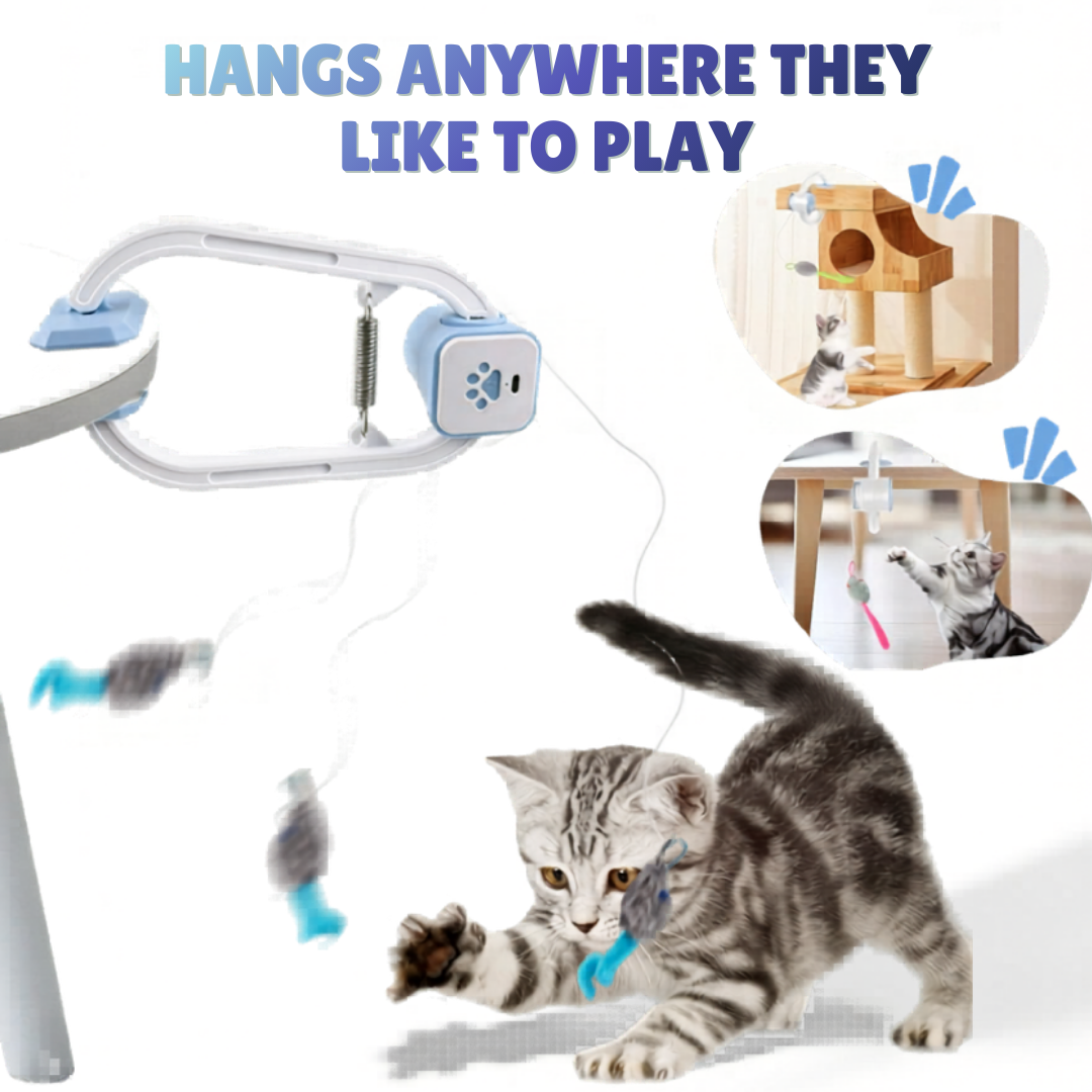 The Pounce Buddy™ — Keep Your Cat Happy, Stimulated & Out of Trouble.    (Even When You're Not Home)