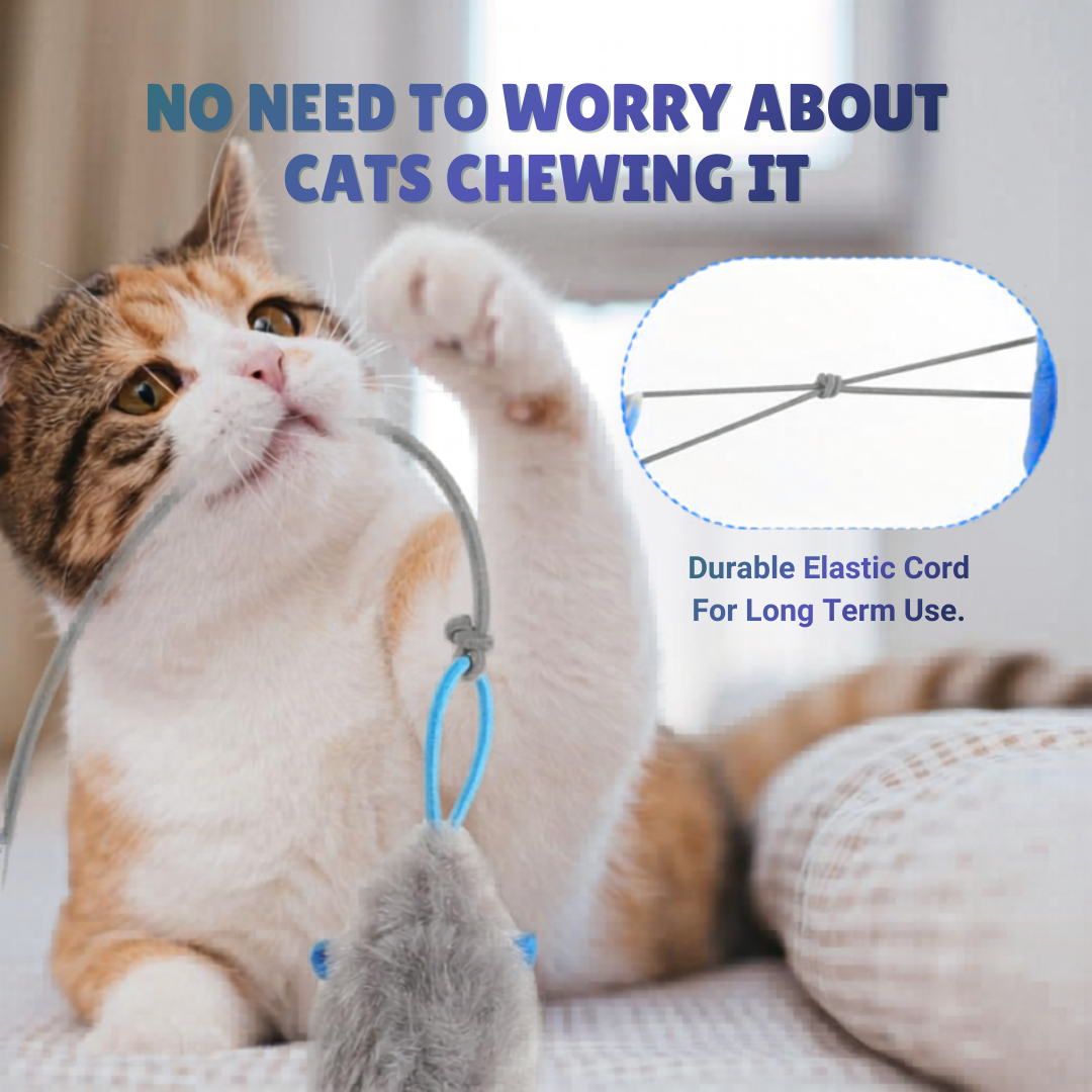 The Pounce Buddy™ — Keep Your Cat Happy, Stimulated & Out of Trouble.    (Even When You're Not Home)