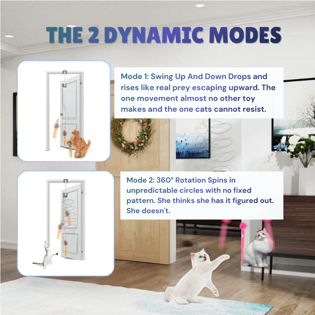 The Pounce Buddy™ — Keep Your Cat Happy, Stimulated & Out of Trouble.    (Even When You're Not Home)