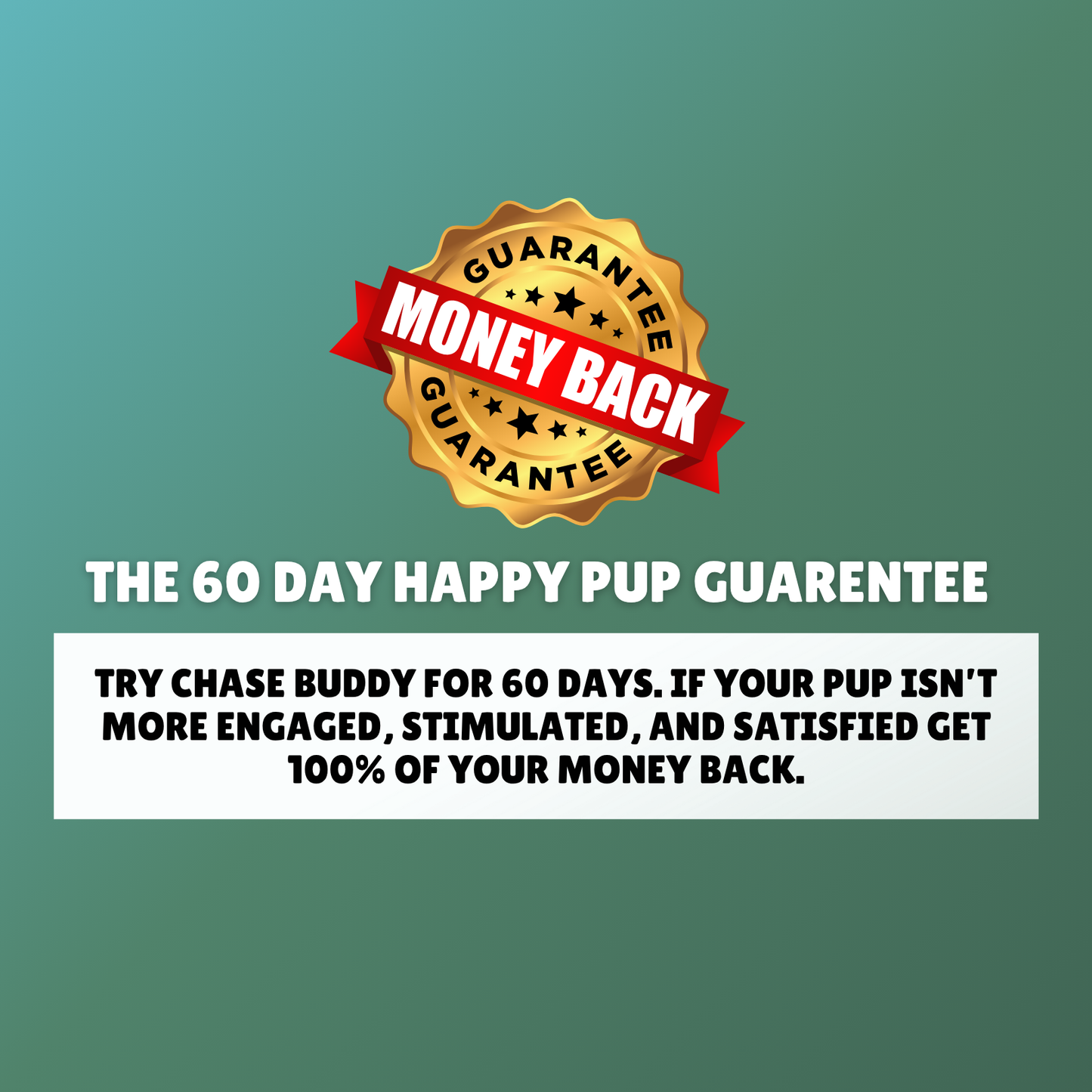 The Chase Buddy™ – Keep Your Dog Calm, Engaged & Satisfied (Even When You’re Busy)