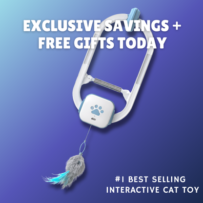 The Pounce Buddy™ — Keep Your Cat Happy, Stimulated & Out of Trouble.    (Even When You're Not Home)