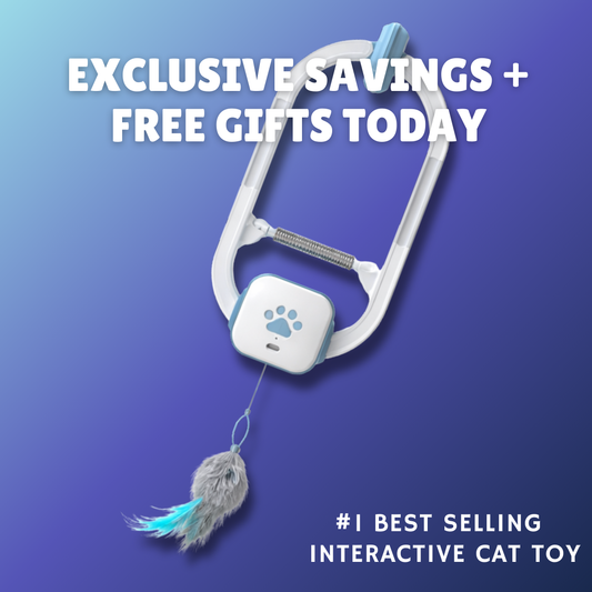 The Pounce Buddy™ — Keep Your Cat Happy, Stimulated & Out of Trouble.    (Even When You're Not Home)