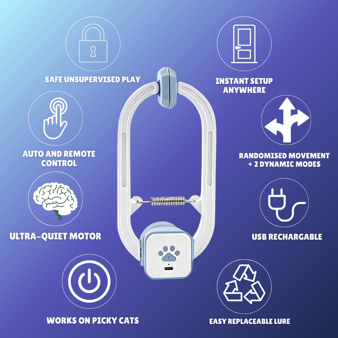 The Pounce Buddy™ — Keep Your Cat Happy, Stimulated & Out of Trouble.    (Even When You're Not Home)