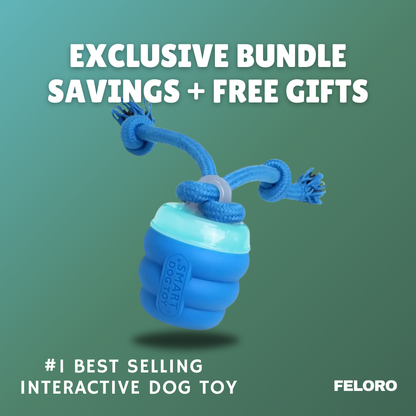 The Chase Buddy™ – Keep Your Dog Calm, Engaged & Satisfied (Even When You’re Busy)