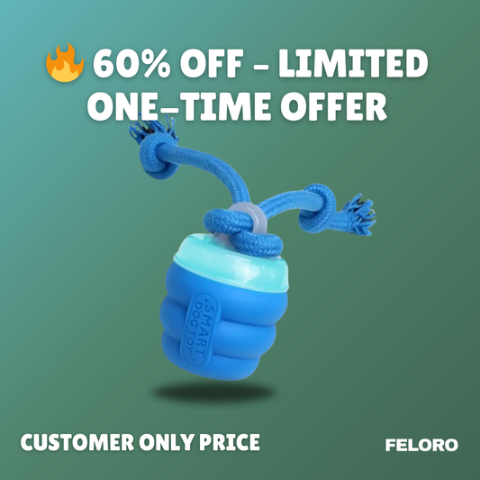 The Chase Buddy™ – Keep Your Dog Calm, Engaged & Satisfied (Even When You’re Busy)