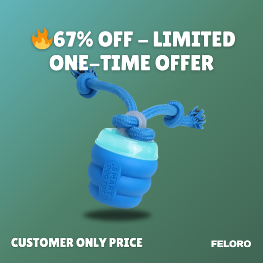 The Chase Buddy™ – Keep Your Dog Calm, Engaged & Satisfied (Even When You’re Busy)