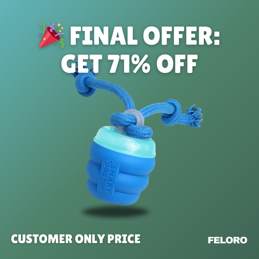 The Chase Buddy™ – Keep Your Dog Calm, Happy & Satisfied (Even When You're Busy)