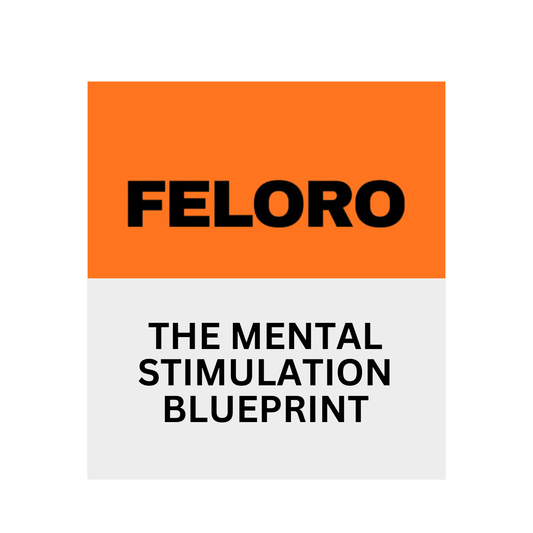 The Mental Stimulation Blueprint