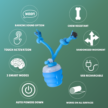 The Chase Buddy™ – Keep Your Dog Calm, Engaged & Satisfied (Even When You’re Busy)